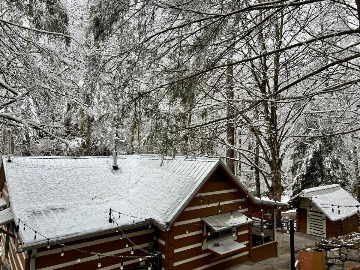 Beary Relaxing Cabin - Rustic With Outdoor Patio Townsend Exterior foto