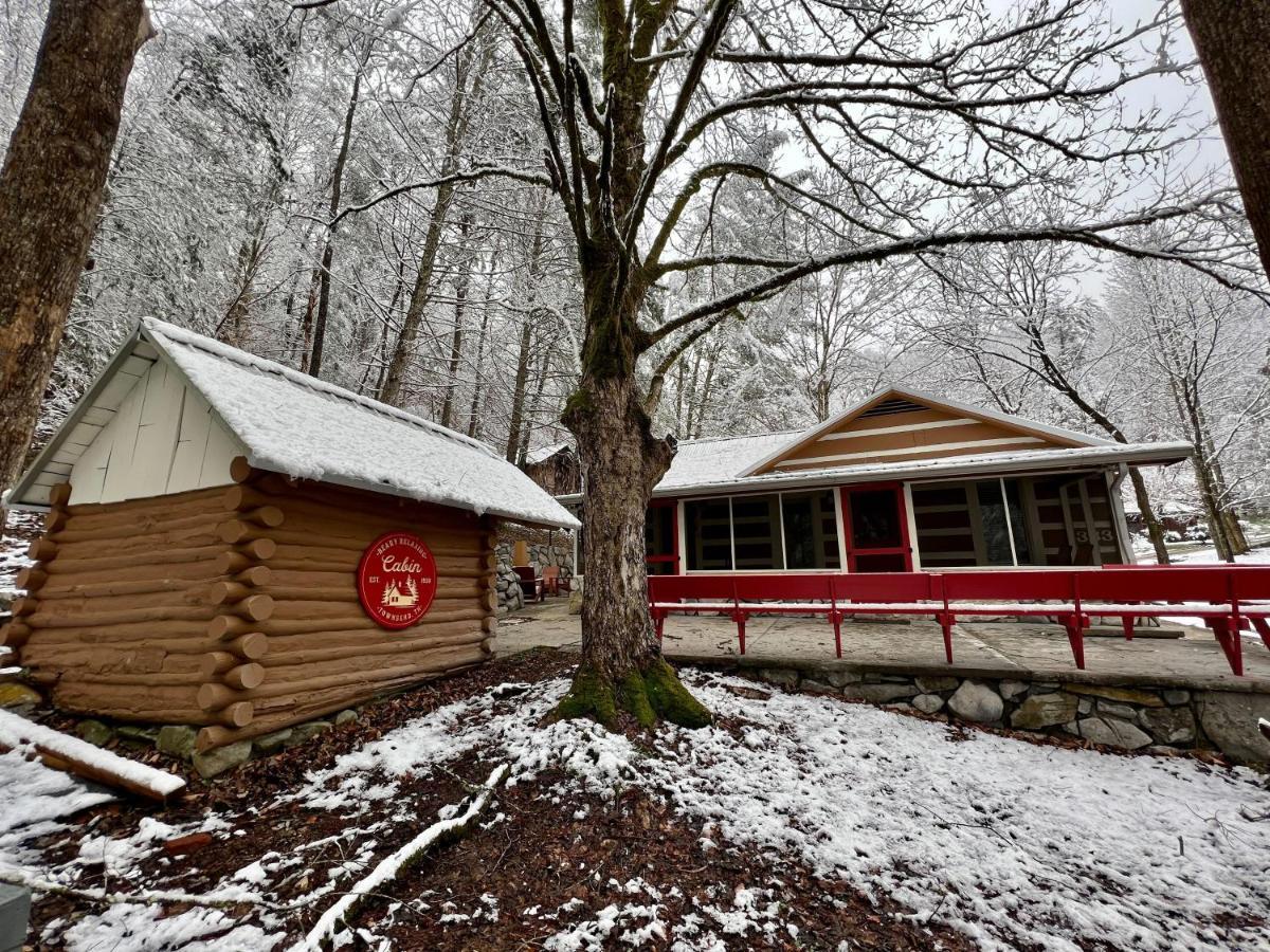 Beary Relaxing Cabin - Rustic With Outdoor Patio Townsend Exterior foto