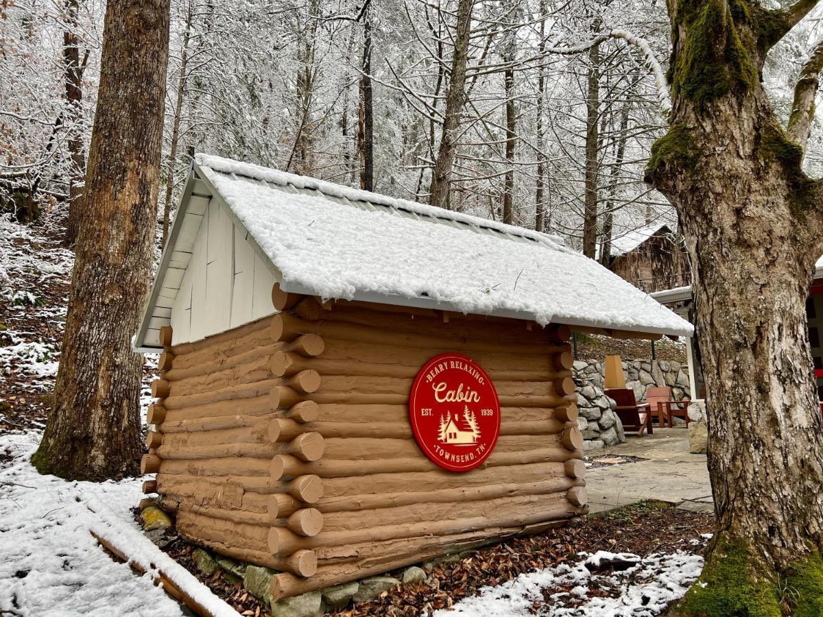 Beary Relaxing Cabin - Rustic With Outdoor Patio Townsend Exterior foto